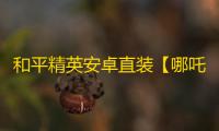 和平精英安卓直装【哪吒直装】辅助