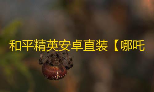 和平精英安卓直装【哪吒直装】辅助