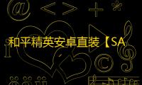 和平精英安卓直装【SAY直装】辅助