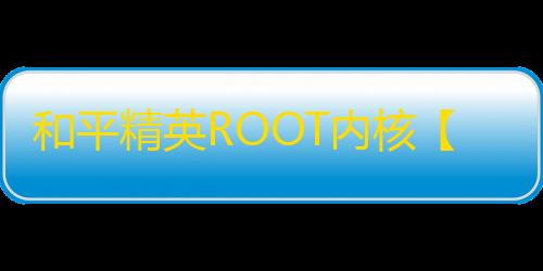 和平精英ROOT内核【UK】外挂