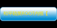 和平精英ROOT内核【蜥蜴定制】和平美化-外挂